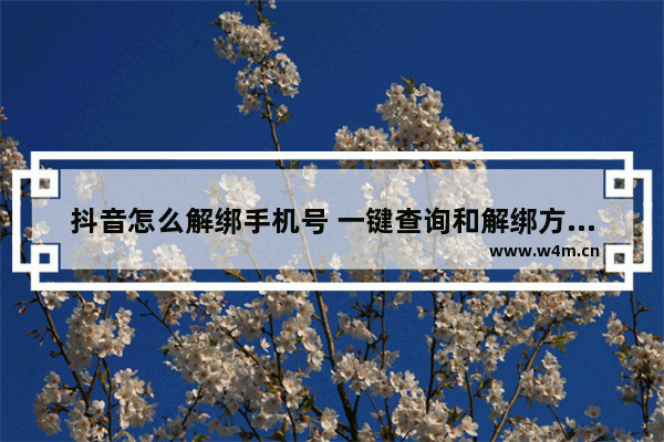 抖音怎么解绑手机号 一键查询和解绑方法讲解