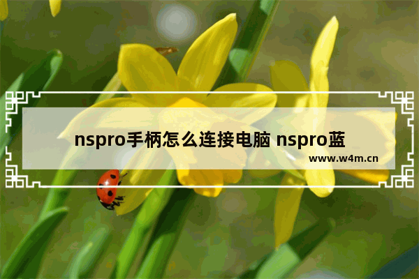 nspro手柄怎么连接电脑 nspro蓝牙连接电脑教程