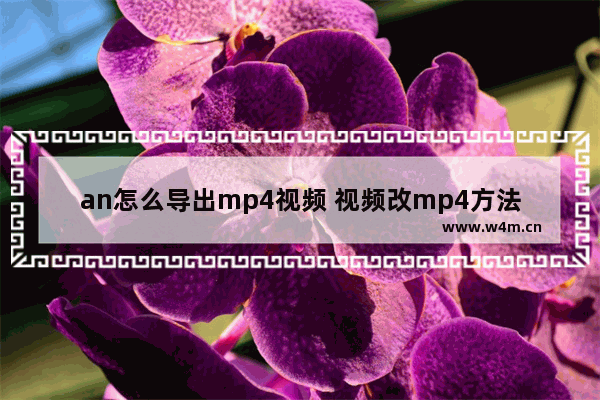 an怎么导出mp4视频 视频改mp4方法教学