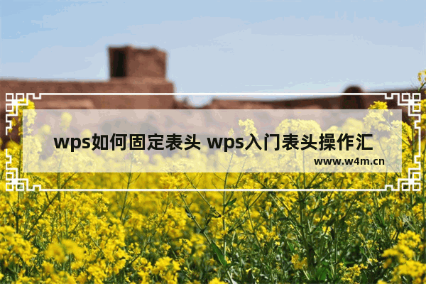 wps如何固定表头 wps入门表头操作汇总