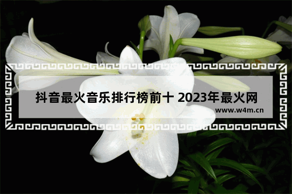 抖音最火音乐排行榜前十 2023年最火网络歌曲