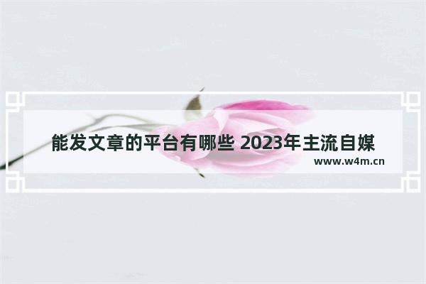 能发文章的平台有哪些 2023年主流自媒体平台对比