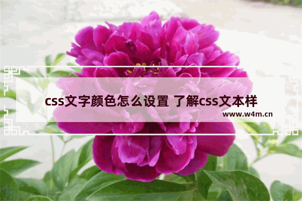 css文字颜色怎么设置 了解css文本样式