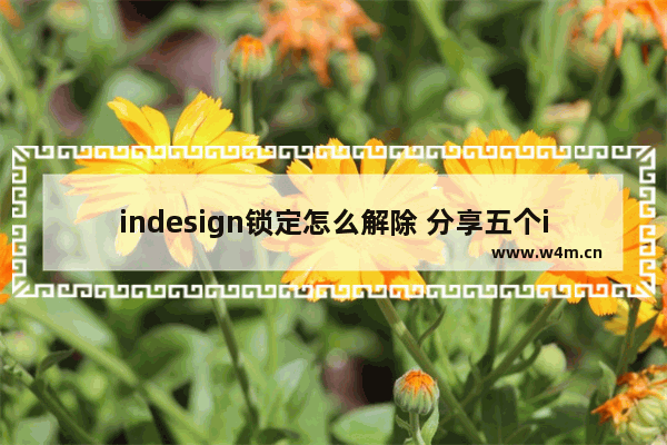 indesign锁定怎么解除 分享五个indesign实用小技巧