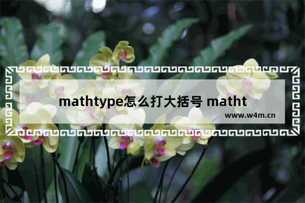 mathtype怎么打大括号 mathtype的重要操作技巧