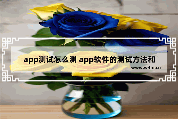 app测试怎么测 app软件的测试方法和工具