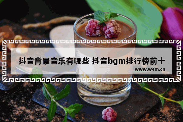 抖音背景音乐有哪些 抖音bgm排行榜前十名