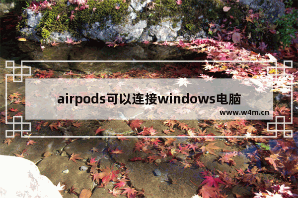 airpods可以连接windows电脑吗 win11连airpods的正确姿势