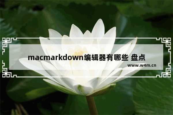 macmarkdown编辑器有哪些 盘点五大好用的markdown编辑器