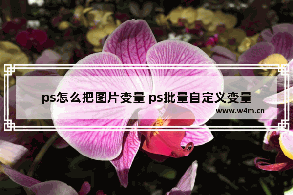 ps怎么把图片变量 ps批量自定义变量