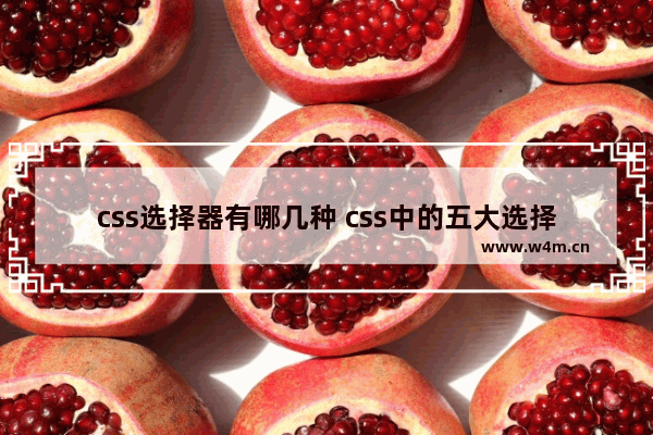 css选择器有哪几种 css中的五大选择器