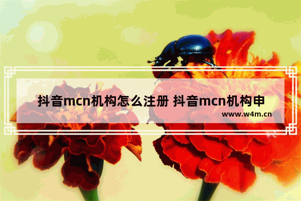 抖音mcn机构怎么注册 抖音mcn机构申请条件