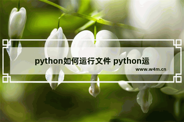 python如何运行文件 python运行文件的三种方法