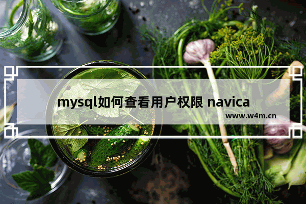 mysql如何查看用户权限 navicat用户权限设置