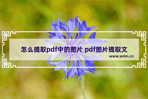 怎么提取pdf中的图片 pdf图片提取文字免费