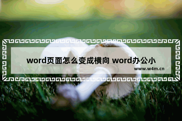 word页面怎么变成横向 word办公小技巧