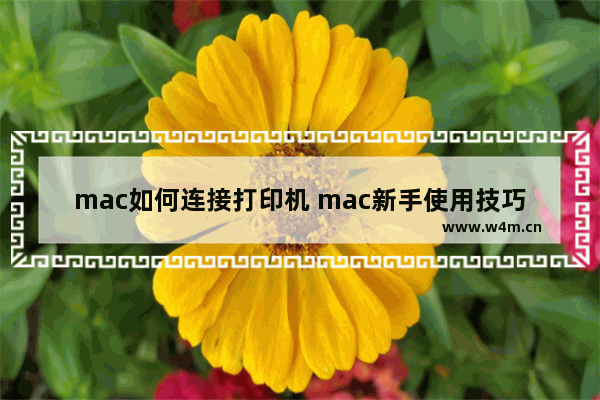 mac如何连接打印机 mac新手使用技巧