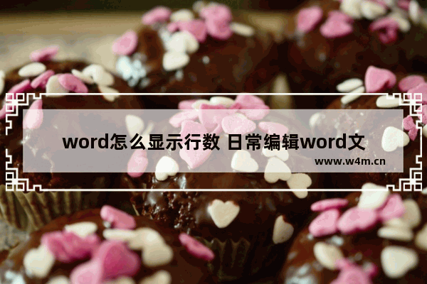 word怎么显示行数 日常编辑word文件实用技巧