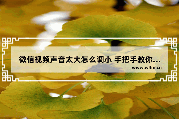 微信视频声音太大怎么调小 手把手教你调节音量