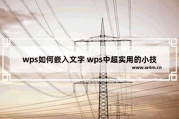 wps如何嵌入文字 wps中超实用的小技巧