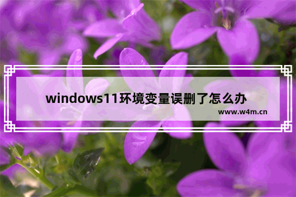 windows11环境变量误删了怎么办 windows11环境变量误删了解决办法