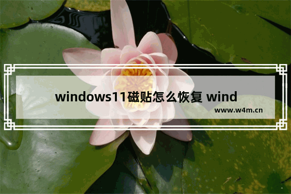 windows11磁贴怎么恢复 windows11磁贴恢复方法