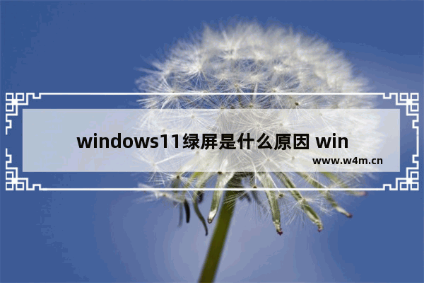 windows11绿屏是什么原因 windows11绿屏解决办法