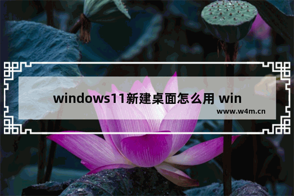 windows11新建桌面怎么用 windows11怎么新建桌面