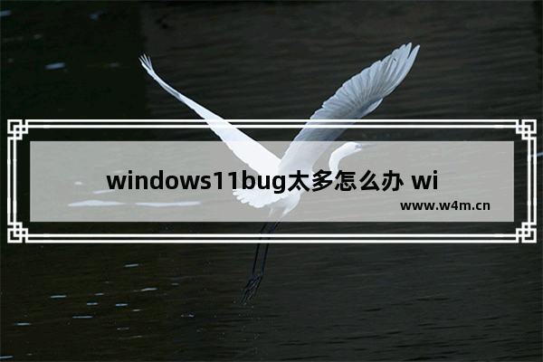 windows11bug太多怎么办 windows11bug太多解决方法