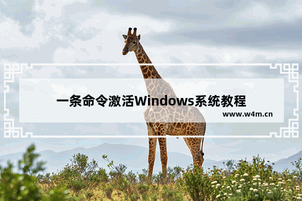 一条命令激活Windows系统教程