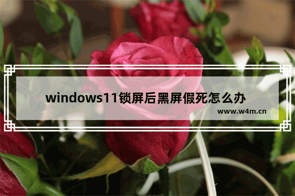 windows11锁屏后黑屏假死怎么办 windows11锁屏后黑屏假死解决方法