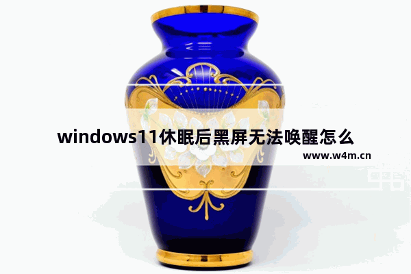 windows11休眠后黑屏无法唤醒怎么办 windows11睡眠无法唤醒黑屏怎么办