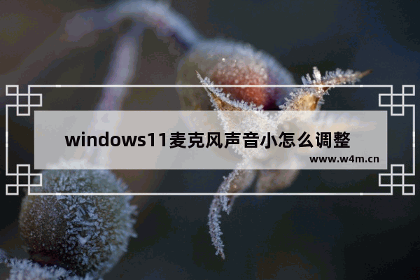 windows11麦克风声音小怎么调整  windows11麦克风声音小调整方法