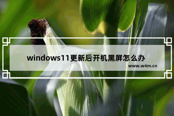 windows11更新后开机黑屏怎么办 windows11更新后开机黑屏解决办法