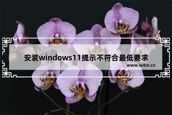 安装windows11提示不符合最低要求怎么办 安装windows11提示不符合最低要求解决办法