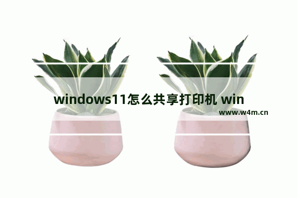 windows11怎么共享打印机 windows11共享打印机设置方法