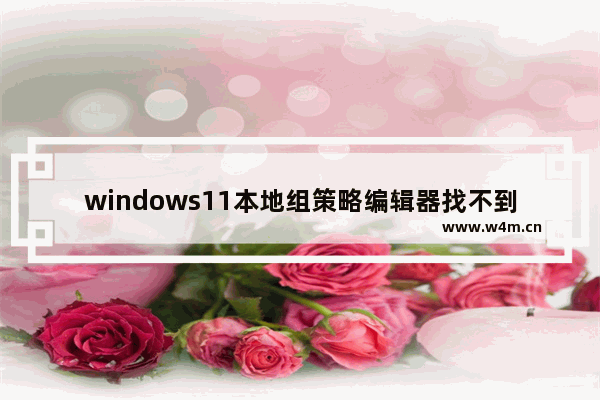 windows11本地组策略编辑器找不到怎么办