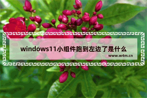 windows11小组件跑到左边了是什么情况 windows11小组件跑到左边了解决办法