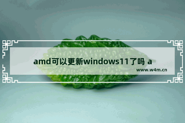 amd可以更新windows11了吗 amd能更新windows11吗