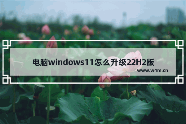 电脑windows11怎么升级22H2版本 电脑windows11升级22H2版本方法