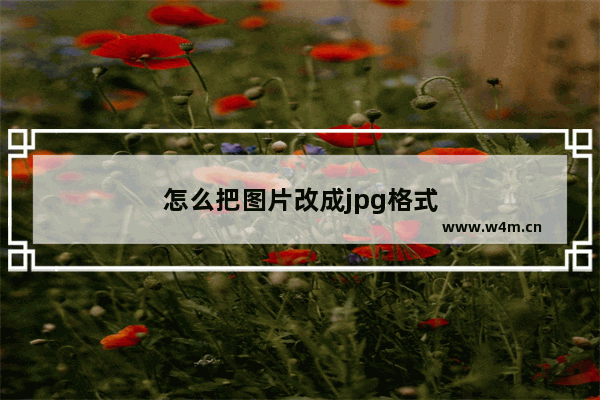 怎么把图片改成jpg格式