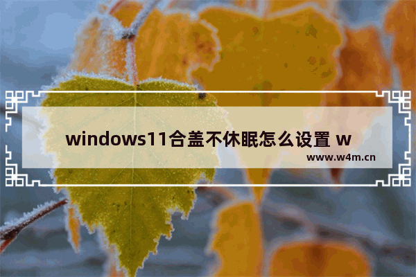 windows11合盖不休眠怎么设置 windows11合盖不休眠设置方法