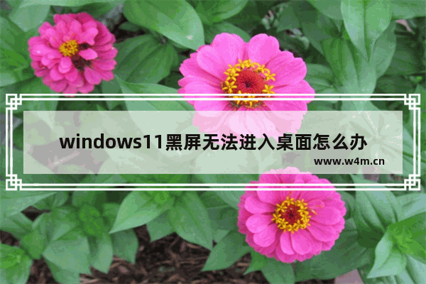 windows11黑屏无法进入桌面怎么办 windows11黑屏无法进入桌面解决方法