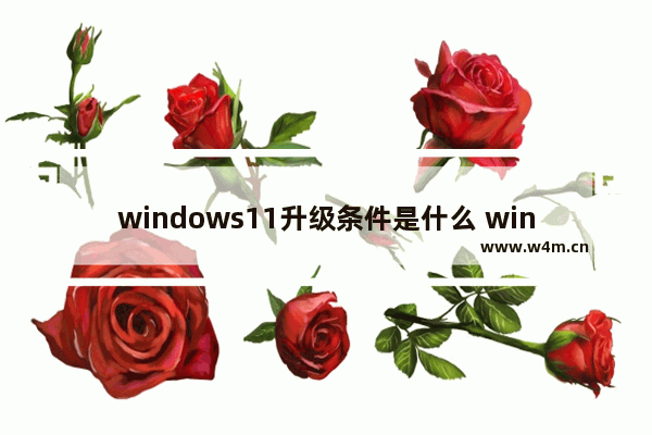 windows11升级条件是什么 windows11升级条件介绍