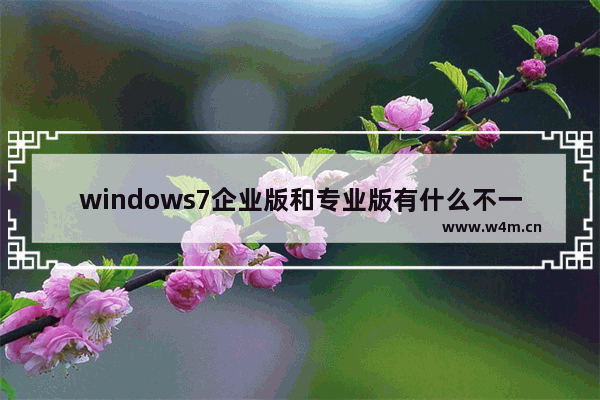 windows7企业版和专业版有什么不一样 windows7企业版和专业版区别一览