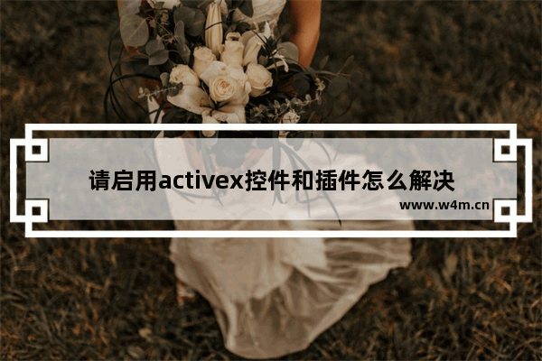 请启用activex控件和插件怎么解决