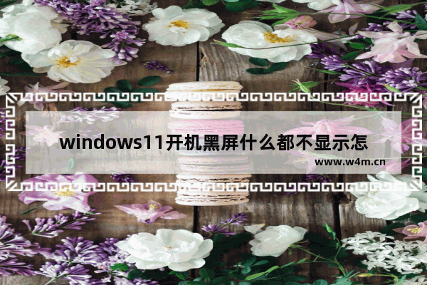 windows11开机黑屏什么都不显示怎么办 windows11开机黑屏什么都不显示解决方法