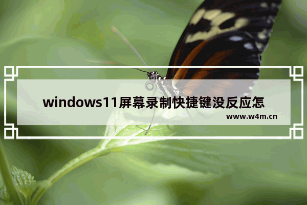 windows11屏幕录制快捷键没反应怎么办 windows11屏幕录制快捷键不起作用怎么办