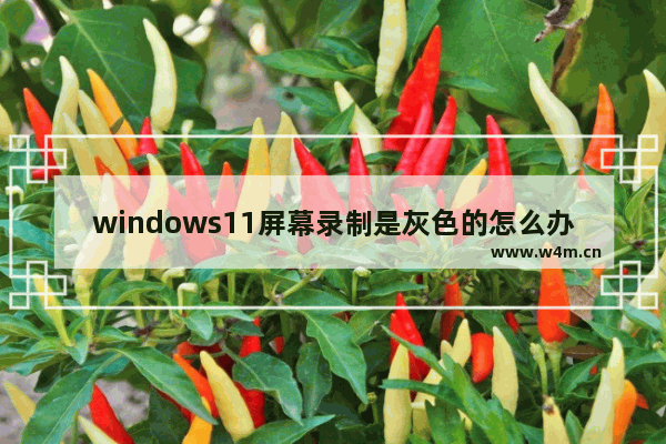 windows11屏幕录制是灰色的怎么办 windows11录屏按钮是灰色的解决方法