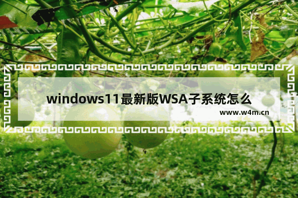 windows11最新版WSA子系统怎么安装 windows11最新版WSA子系统安装图文教程